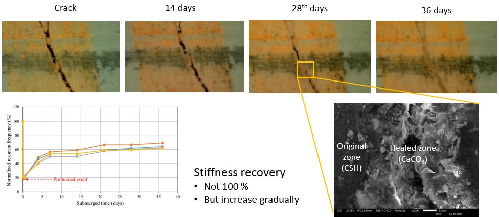 Self-healing composite